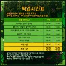 엄지척닷컴 | 아기와 괌 여행, 지금괌닷컴 탕기슨 비치 액티비티 정글투어 스노쿨링 ATV 짚라인 추천 :D