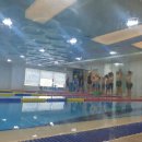 음파음파 수영장 이미지