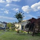 안목있는 춘향 이미지