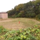 포곡치과의원 이미지