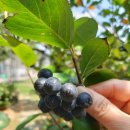 구만리농장 이미지