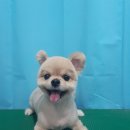 엉클장동물병원 이미지