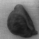 돌봄동물메디컬클리닉 이미지