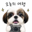 대기점민박