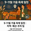 (유)지평선고속관광 | 9~11월 가을 축제 일정｜지역·예산·주차 팁