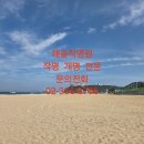 해솔 | 춘천작명 - 해솔작명원 우리아기 작명 해솔작명원 후기!!!