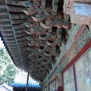 일향(一香) 이미지