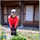 죽화경 Daum카페