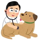 다정동물병원 이미지
