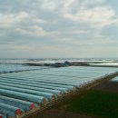 김제상회 이미지