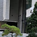 준미용실 | 드디어 정착각 잡았다! 내 머리 구원해준 강남 미용실 후기