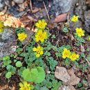 천마산역 이미지