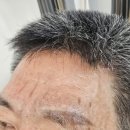 수원-0973 이미지