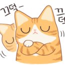 척산칼국수 이미지