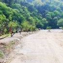 석수캠핑장 이미지