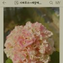 시리미농장 이미지