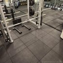 헤이스짐 이미지