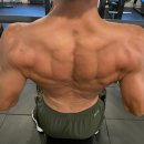 바디에 디자인을 더하다(바디디자인) 이미지