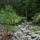 구만산펜션 | 구만산...구만산 남릉에서 통수골로