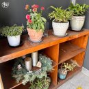 이천억민물장어 | 연천 전곡리 장어 맛집 이천억민물장어 점심 식사 장어탕 솔직후기