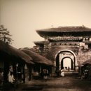 수원-1913 이미지