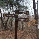 분당정(국궁장) 이미지