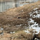 피자나라치킨공주 대구범어점 | 2월 한 달 | 치킨나라 피자공주