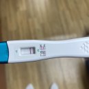 예스율산부인과의원 | 얼리테스트기 배란기 +7일, 8일, 9일 단호박 +10일 초초초초 매직아이(굿뉴스 얼리 임테기, 시약선...