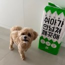개님 | 개님의 상점 배변패드 후기