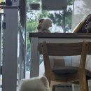 아지트, 멍 카페 이미지