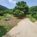 정안면사무소2 이미지