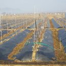 조성농장 이미지