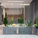 반려식물(홈가드닝) 이미지