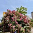 세븐일레븐 홍대6번출구점 이미지