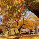 이반성면-6 이미지