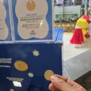 해피 월드 | 제주 하리보 해피월드 솔직 후기 아이 선택으로 다녀온 실내 관광지