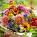 한아름 꽃 이미지