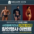 GYM84PT 이미지