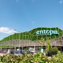 나비농장2 이미지