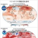 아르보Arbo