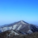 휴양림길 이미지