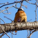 문산읍1 이미지