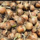 매봉민박 이미지