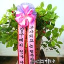 킨텍스 꿈 동물병원 이미지