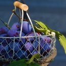 주택슈퍼 이미지