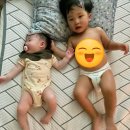 (주)혜성환경 이미지