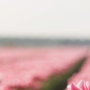 삼송빌딩 이미지