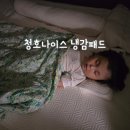 크린메이드 | 청호나이스 아이스필 양면 사계절 활용 냉감패드 유아인증 냉감매트