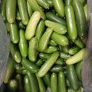 🥒 아삭아삭 스낵오이 수확해요~ 🥒 이미지