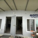 숙이민박